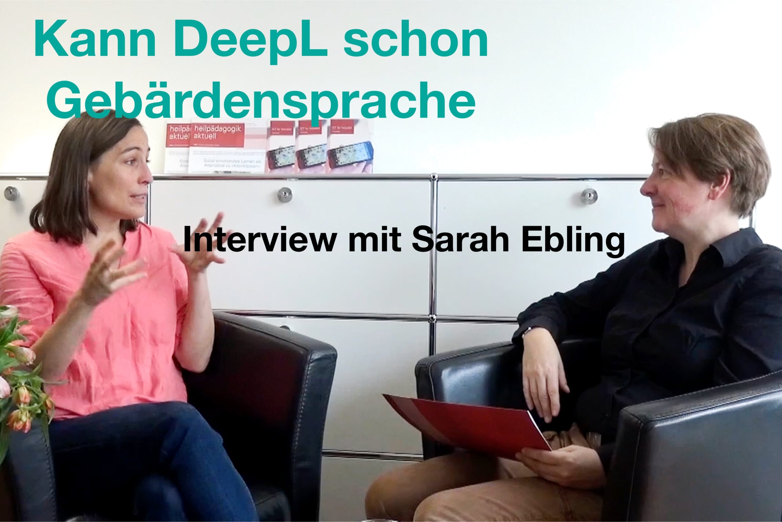 Bildschirmfoto aus dem Video-Interview mit Sarah Ebling